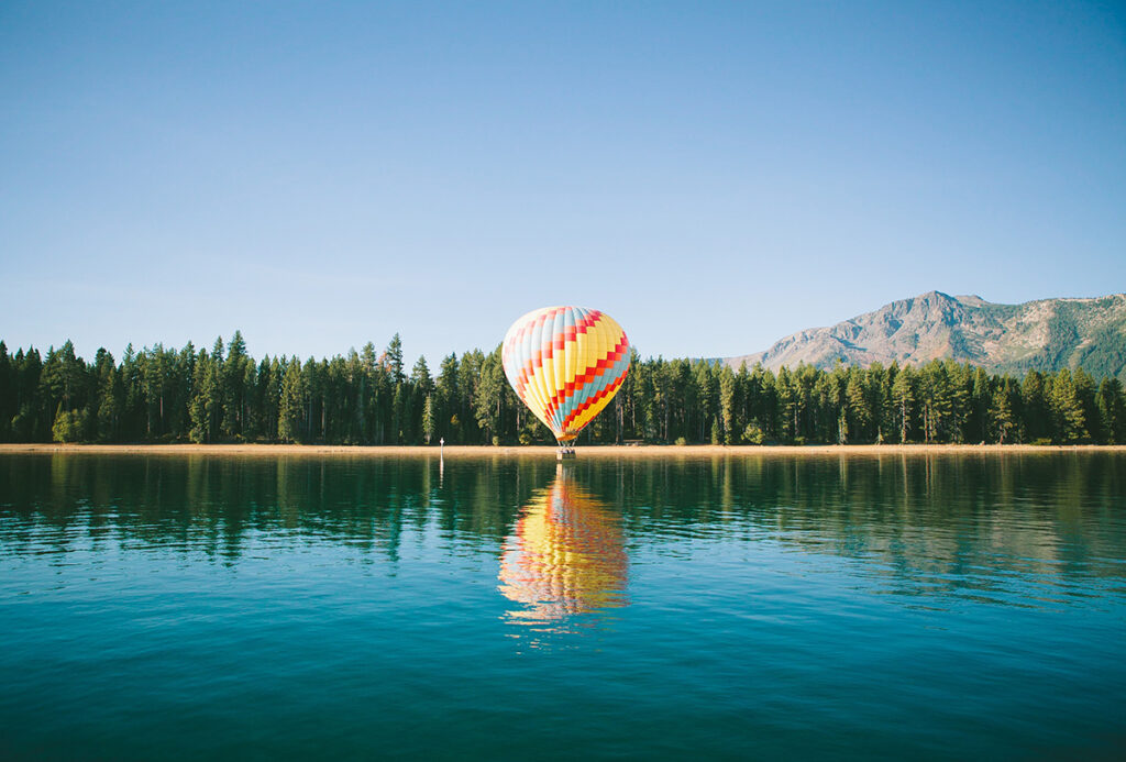 Completely different? The difference between startups and venture companies.