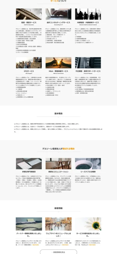 Del Sole Audit Corporation Website Creation